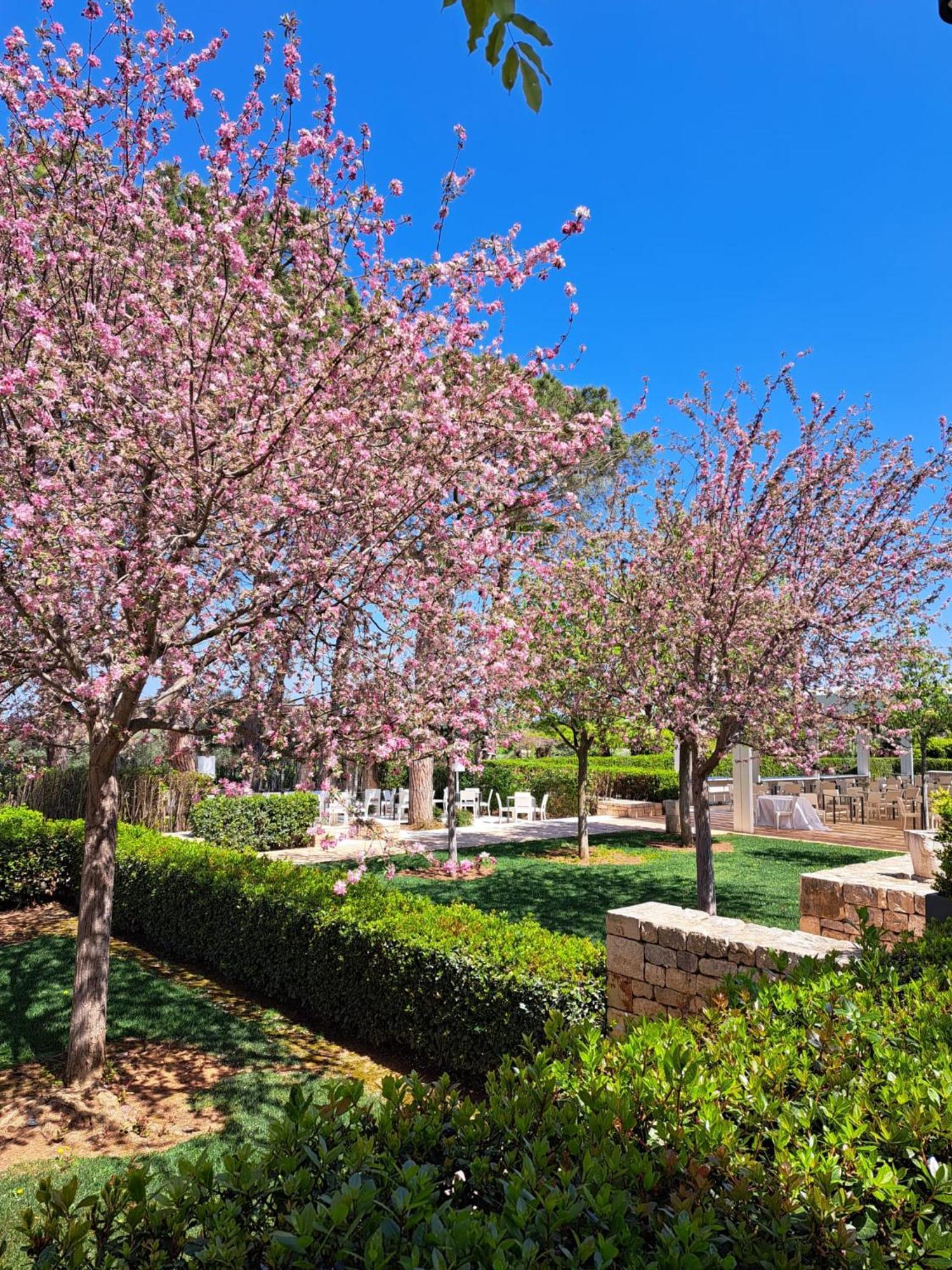 Relais Il Santissimo Hotel Тури Екстериор снимка
